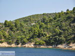 Beboste berghellingen Koutsouri Skiathos foto 2