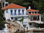 Haven Skiathos-stad foto 6