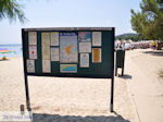 Het mooie strand van Koukounaries - Skiathos - foto 6