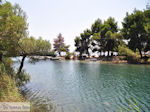 Beschermd gebied Koukounaries - Skiathos - foto 3