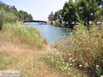 Beschermd gebied Koukounaries - Skiathos - foto 5