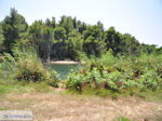 Beschermd gebied Koukounaries - Skiathos - foto 7