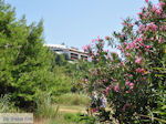 Skiathos Palace gezien vanaf Koukounaries - Skiathos