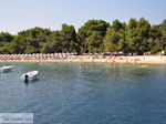 Het zandstrand van Koukounaries - Skiathos - foto 1