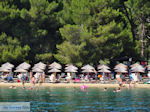Het zandstrand van Koukounaries - Skiathos - foto 5