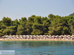 Het zandstrand van Koukounaries - Skiathos - foto 6