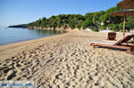 Achladies | Skiathos Sporaden | De Griekse Gids foto 16