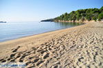 Achladies | Skiathos Sporaden | De Griekse Gids foto 17
