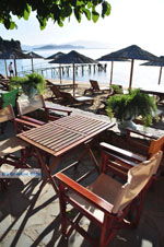 Maniatis Garden Achladies | Skiathos Sporaden | De Griekse Gids foto 1