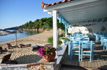 Maniatis Garden Achladies | Skiathos Sporaden | De Griekse Gids foto 4