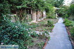 Maniatis Garden Achladies | Skiathos Sporaden | De Griekse Gids foto 5