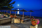 Maniatis Garden Achladies | Skiathos Sporaden | De Griekse Gids foto 10