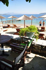Maniatis Garden Achladies | Skiathos Sporaden | De Griekse Gids foto 13