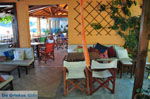 Maniatis Garden Achladies | Skiathos Sporaden | De Griekse Gids foto 14